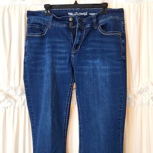 Wallflower Jeans 👖 Luscious Curvy Fit, 17, Short, Medium Denium Wash